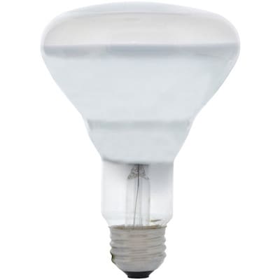   SYLVANIA (Brand of Osram) 15160