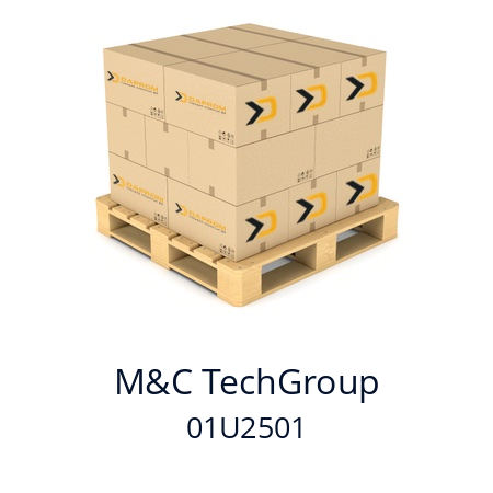   M&C TechGroup 01U2501