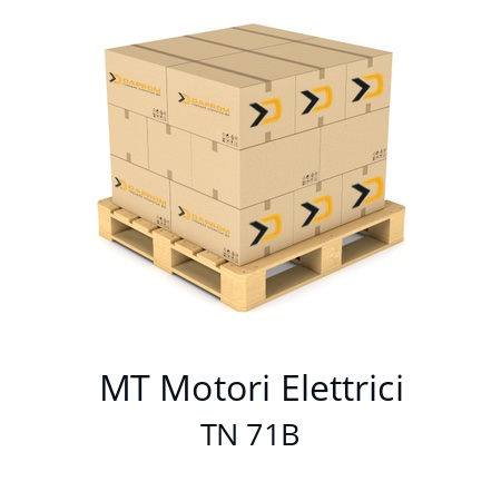   MT Motori Elettrici TN 71B