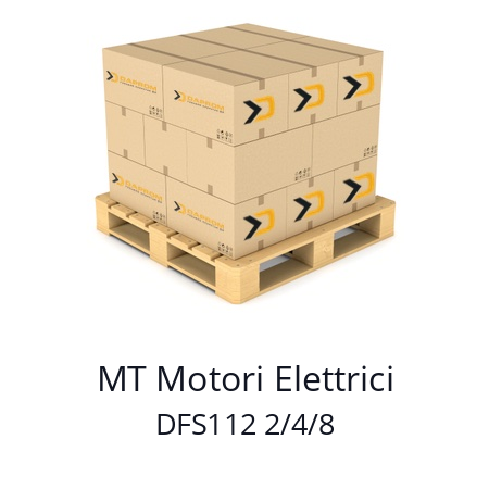   MT Motori Elettrici DFS112 2/4/8