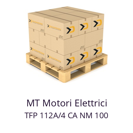   MT Motori Elettrici TFP 112A/4 CA NM 100