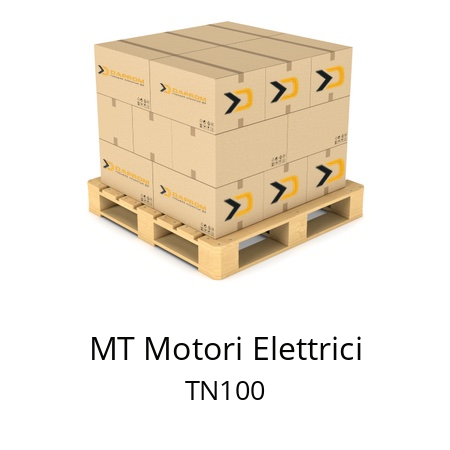   MT Motori Elettrici TN100