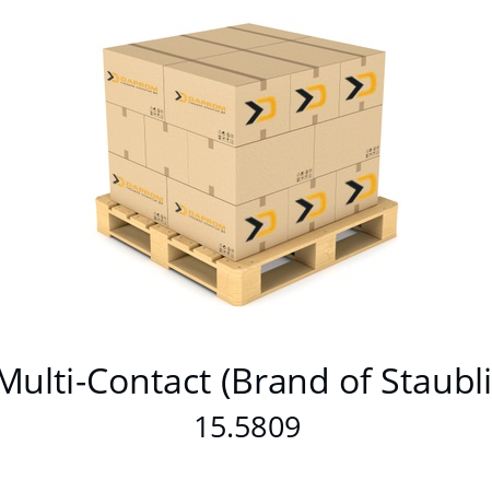   Multi-Contact (Brand of Staubli) 15.5809