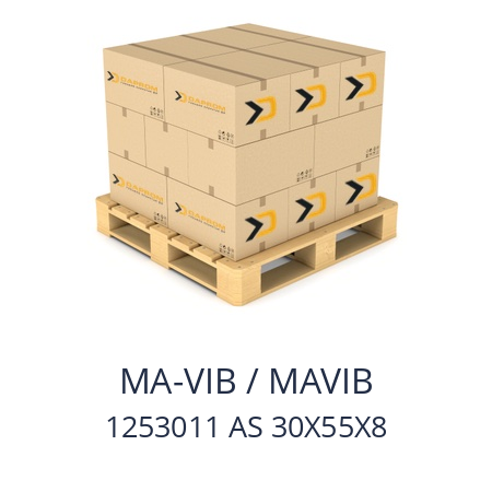   MA-VIB / MAVIB 1253011 AS 30X55X8