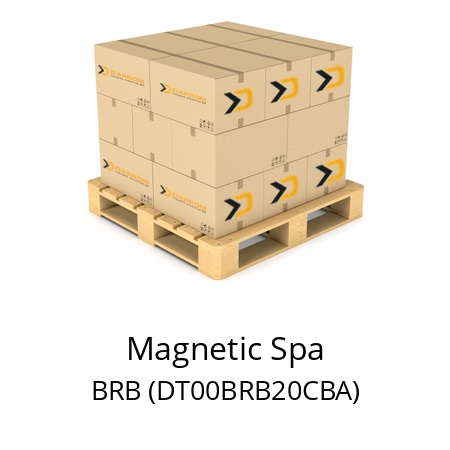   Magnetic Spa BRB (DT00BRB20CBA)