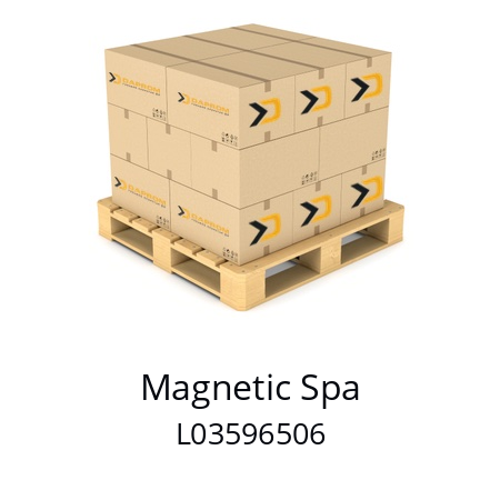   Magnetic Spa L03596506