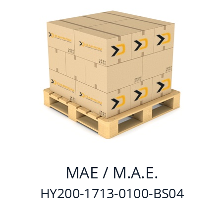   MAE / M.A.E. HY200-1713-0100-BS04