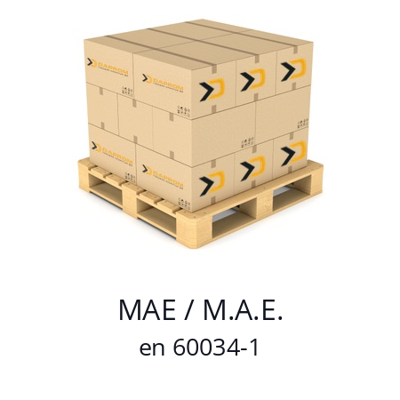   MAE / M.A.E. en 60034-1