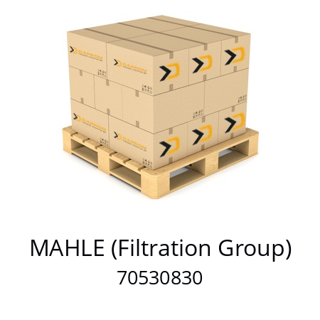   MAHLE (Filtration Group) 70530830