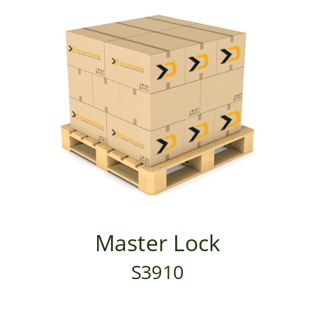   Master Lock S3910