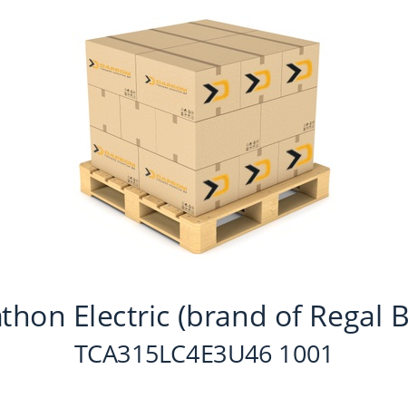   Marathon Electric (brand of Regal Beloit) TCA315LC4E3U46 1001