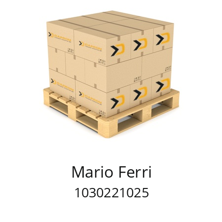   Mario Ferri 1030221025