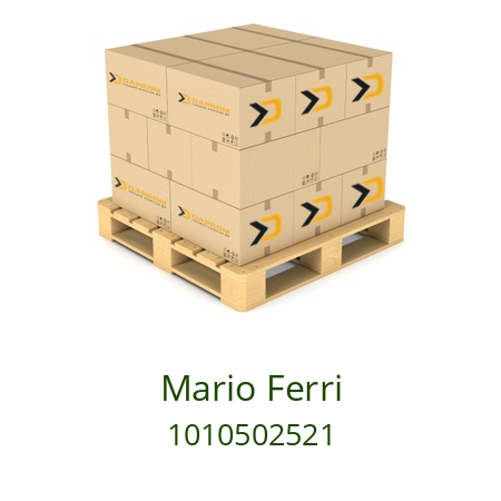   Mario Ferri 1010502521