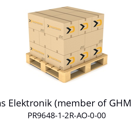   Martens Elektronik (member of GHM Group) PR9648-1-2R-AO-0-00