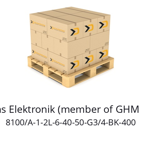   Martens Elektronik (member of GHM Group) 8100/A-1-2L-6-40-50-G3/4-BK-400