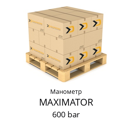 Манометр 600 bar MAXIMATOR 