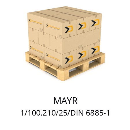   MAYR 1/100.210/25/DIN 6885-1