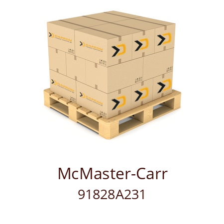   McMaster-Carr 91828A231