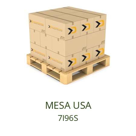   MESA USA 7I96S