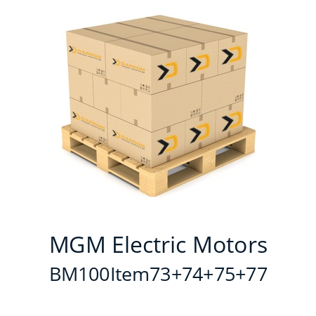  BM 100 (Item 73+74+75+77+78+79+85 ) MGM Electric Motors BM100Item73+74+75+77