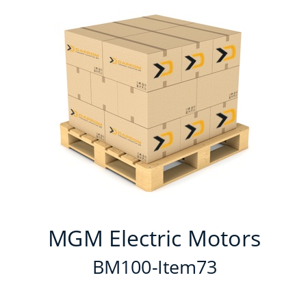  BM 100 MGM Electric Motors BM100-Item73