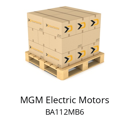   MGM Electric Motors BA112MB6