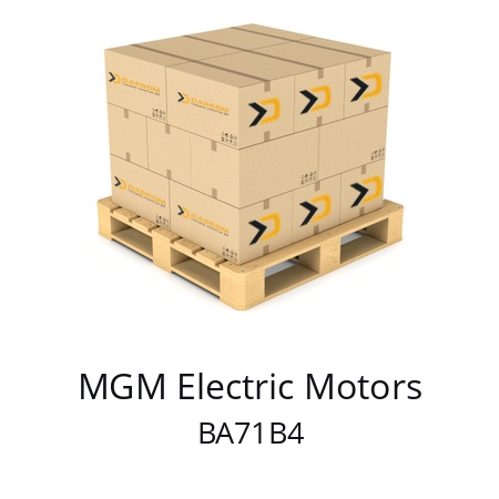   MGM Electric Motors BA71В4