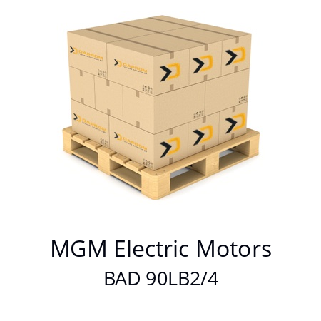   MGM Electric Motors BAD 90LB2/4