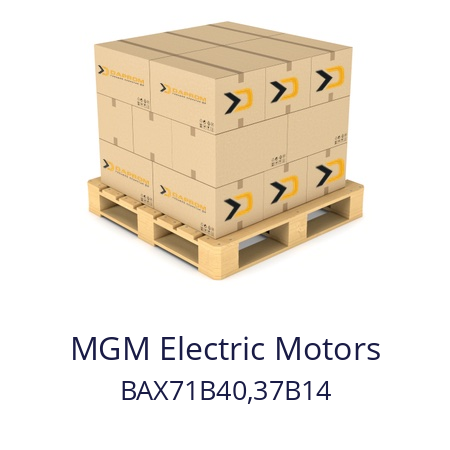   MGM Electric Motors BAX71B40,37B14