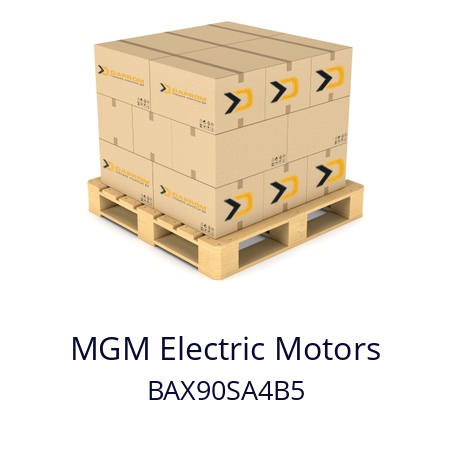   MGM Electric Motors BAX90SA4B5