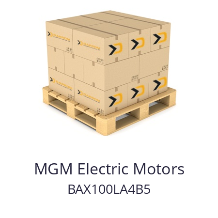   MGM Electric Motors BAX100LA4B5