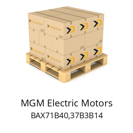   MGM Electric Motors BAX71B40,37B3B14