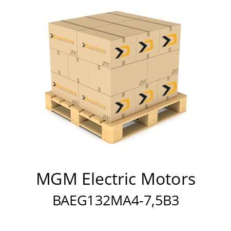   MGM Electric Motors BAEG132MA4-7,5B3