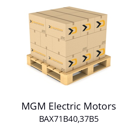   MGM Electric Motors BAX71B40,37B5