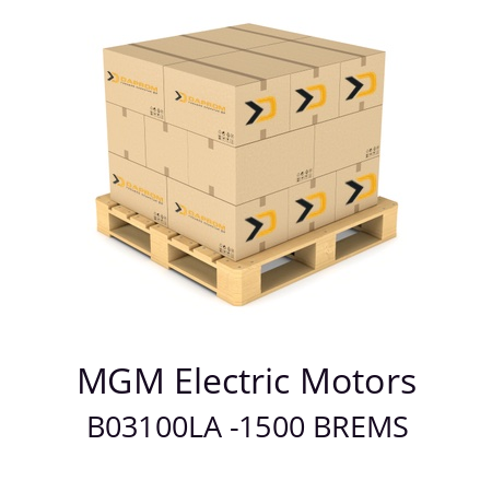   MGM Electric Motors B03100LA -1500 BREMS