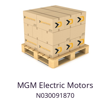   MGM Electric Motors N030091870