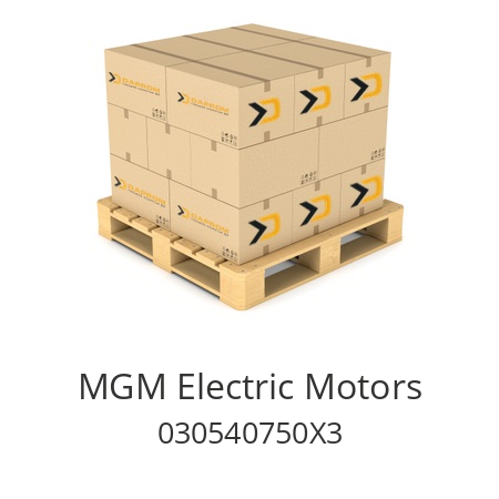   MGM Electric Motors 030540750X3