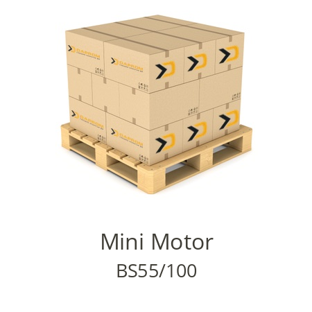  BS55/100 Mini Motor 