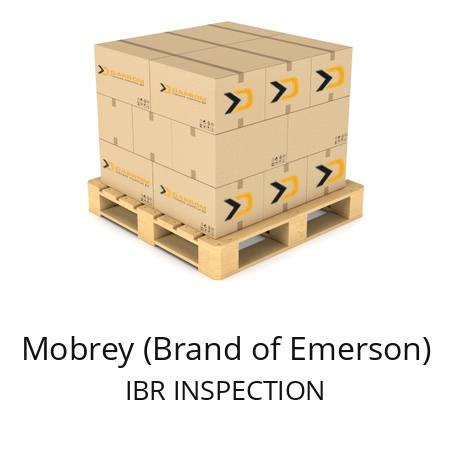   Mobrey (Brand of Emerson) IBR INSPECTION