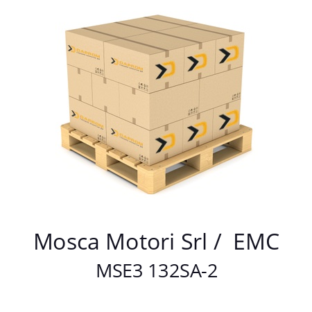   Mosca Motori Srl /  EMC MSE3 132SA-2