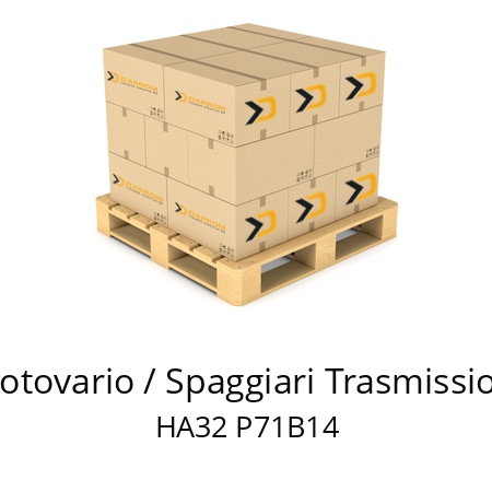   Motovario / Spaggiari Trasmissioni HA32 P71B14