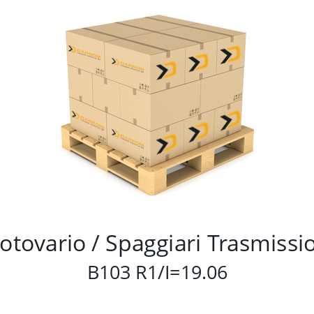   Motovario / Spaggiari Trasmissioni B103 R1/I=19.06