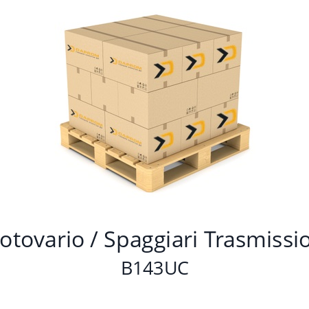   Motovario / Spaggiari Trasmissioni B143UC