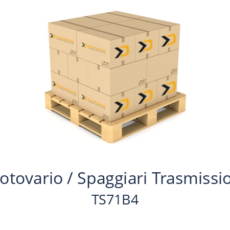   Motovario / Spaggiari Trasmissioni TS71B4