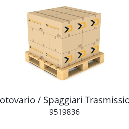   Motovario / Spaggiari Trasmissioni 9519836