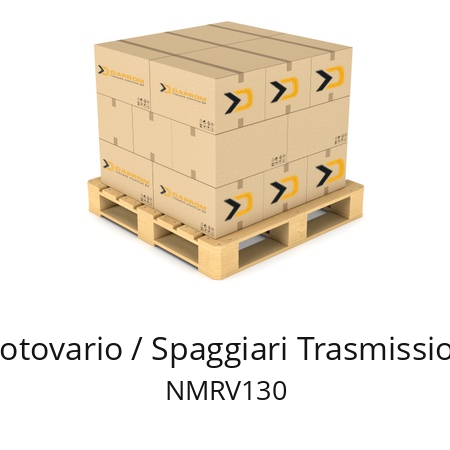   Motovario / Spaggiari Trasmissioni NMRV130