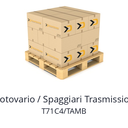   Motovario / Spaggiari Trasmissioni T71C4/TAMB