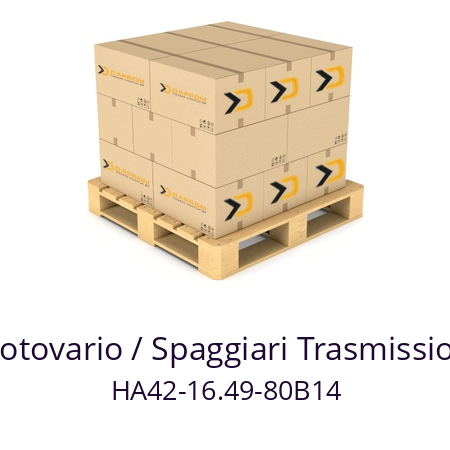   Motovario / Spaggiari Trasmissioni HA42-16.49-80B14