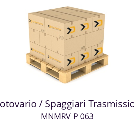   Motovario / Spaggiari Trasmissioni MNMRV-P 063