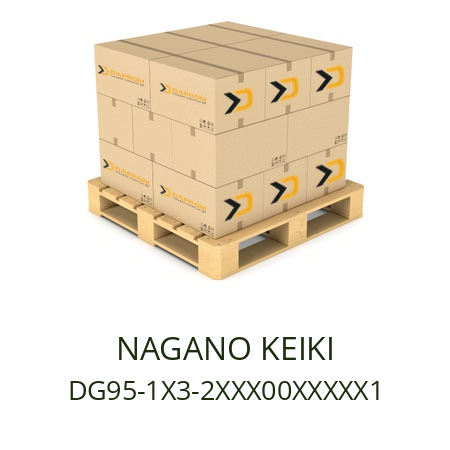   NAGANO KEIKI DG95-1X3-2XXX00XXXXX1